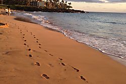 Pacific Shores Top Floor 2 Bedroom Unit