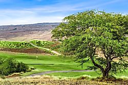 Wai'ula'ula 334 at Mauna Kea
