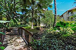 Waikomo Stream Villas 202