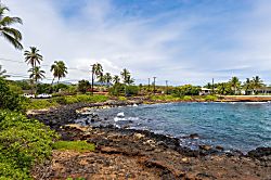 Kuhio Shores 316