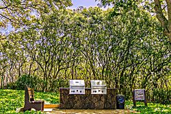 Kiahuna Plantation #325 (building 39)