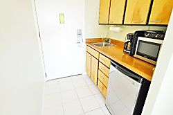 Pacific Monarch #2908