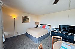 Pacific Monarch #2608