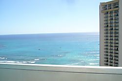 Pacific Monarch #2608