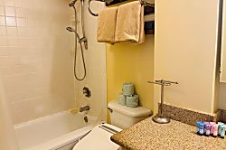 Pacific Monarch #2608