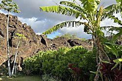 Palm Villas Ground Floor Condo