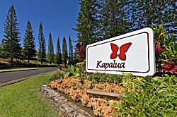 Kapalua Ridge Villas 1414