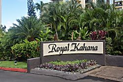 Royal Kahana 604