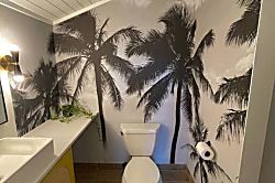 SEArider ONE at Turtle Bay