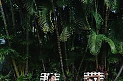 SEArider ONE at Turtle Bay