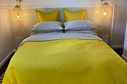 SEArider ONE at Turtle Bay