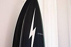 SEArider ONE at Turtle Bay