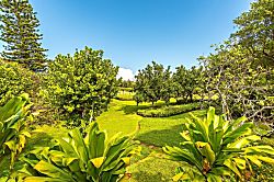 SEArider ONE at Turtle Bay