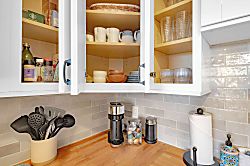 The Funky Fin (PKC102)