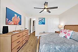 The Funky Fin (PKC102)