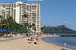 Waikiki Shore 1404