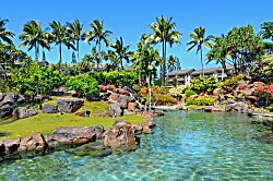 Hanalei Bay Resort 33034