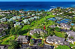Kahala #621