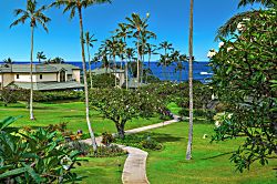 Kahala #621