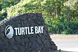 Turtle Bay Aloha Nui Loa