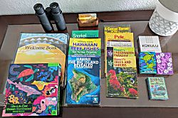 Sea Village 2 Bedroom Condo