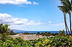 Grand Champions GCH-134