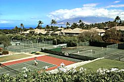 Grand Champions GCH-134