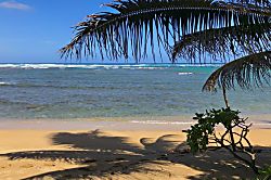 Beach House in Paradise