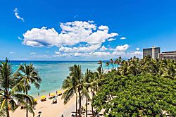 Waikiki Shore #502