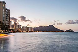 Waikiki Shore #502