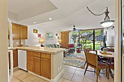 Papakea Resort D-105