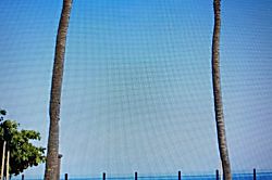 Aston Kaanapali Shores Oceanfront Treasure