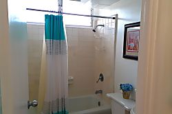 #601 Waikiki Whale Watcher