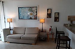 #601 Waikiki Whale Watcher