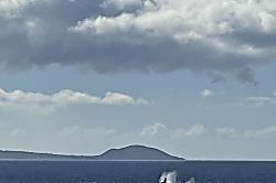 Ma'alaea Bay Mermaid Cove Condo 2BR