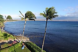 Ma'alaea Bay Mermaid Cove Condo 2BR