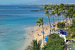 Waikiki Shore #702