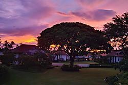 Kiahuna Plantation #54 (building 10)