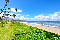 Sugar Beach Resort 313