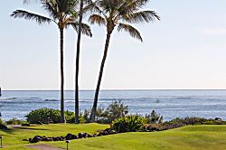 Poipu Sands 513