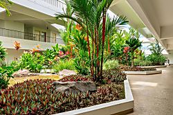 Royal Sea Cliff #401