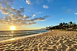 Grand Champions Rental