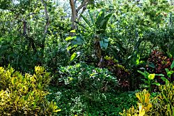 Grand Champions Rental