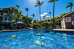 Grand Champions Rental