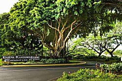 Kiahuna Plantation 198 (Building 31)