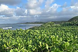 Kuilima East - Turtle Bay Unit