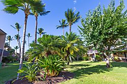 Kihei Garden Estates Remodeled Condo