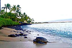 Maalaea Kai Condo Unit