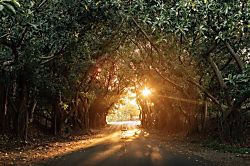 Kauai Beach Resort Unit