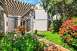 Wailea Ekolu Village 203